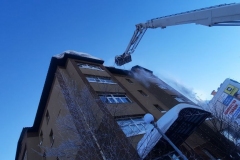 photo_2026-02-11_10-39-41